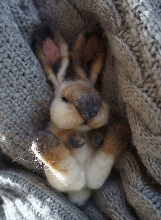 Śpiący króliczek Speckled Fawn