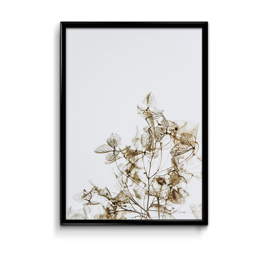  Dry  50x70 plakat  Bury Lis