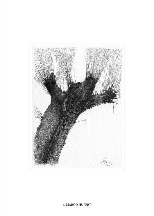wierzba|50x70 cm Margo Hupert