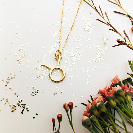 Naszyjnik znak zodiaku BYK, maj zodiak Anemon Atelier