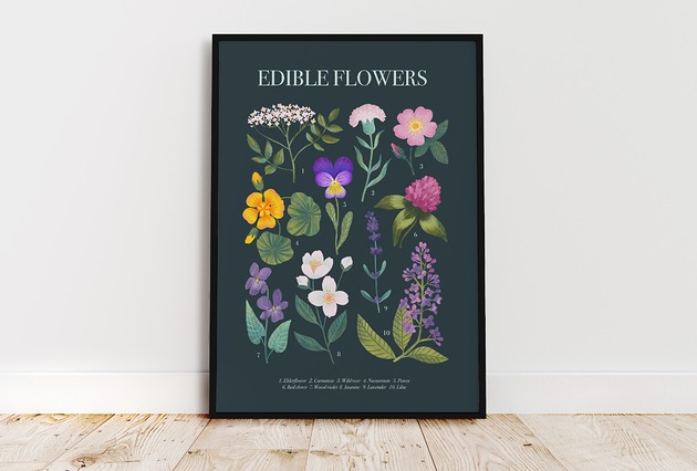 Plakat botaniczny "Edible flowers" 30x40cm Studio Stonka