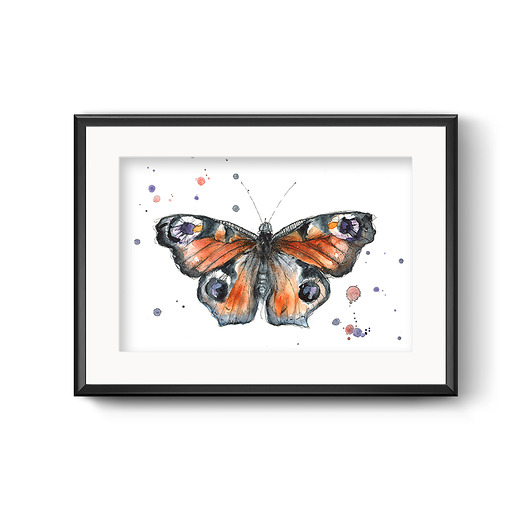 grafiki i ilustracje Motyl pawie oczko, 30x21 cm, A4