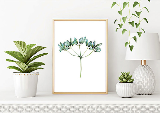 plakat. rośliny Love Life and Forest