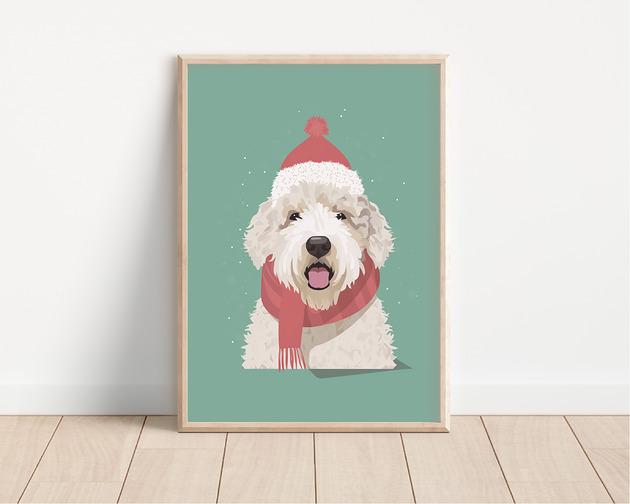 plakaty Plakat lagotto romagnolo