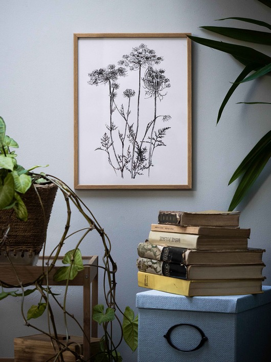 Grafika botaniczna w oprawie beata sketches