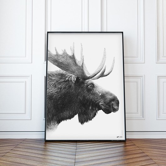 Grafika / Plakat "Łoś BW"  WzoryKolory