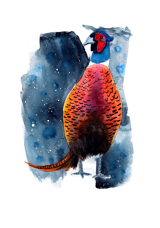 grafiki i ilustracje Plakat Bażant