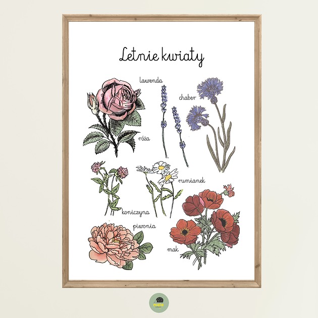 obrazy i plakaty do pokoju dziecięcego Plakat Letnie Kwiaty Montessori dla dzieci