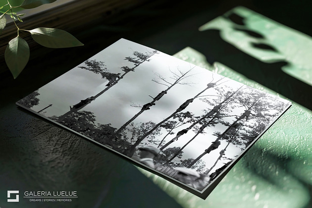 fotografia Unikatowy wydruk - Zielona trybuna I Wystawa Kraków Stories 2025 I 40x30 cm