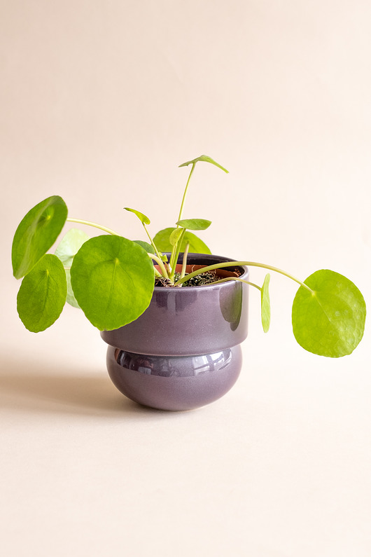 doniczki Osłonka 'runo' 13,5 cm FIOLET /PRL