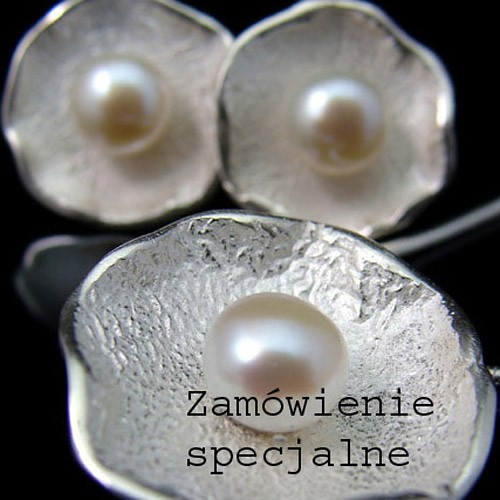 Zamówienie specjalne VIGOART