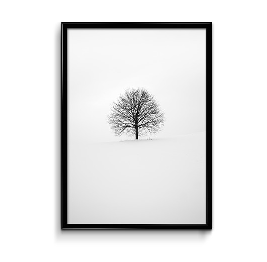 Plakat Drzewo  Bury Lis