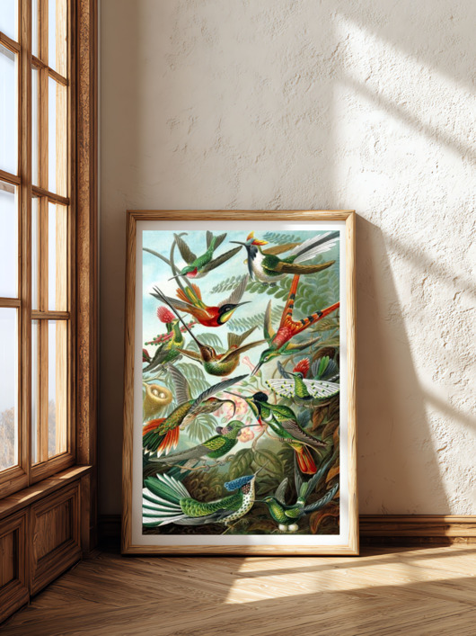 plakaty Ernst Haeckel plakat,  grafika vintage, ptaki obraz, sztuka ścienna