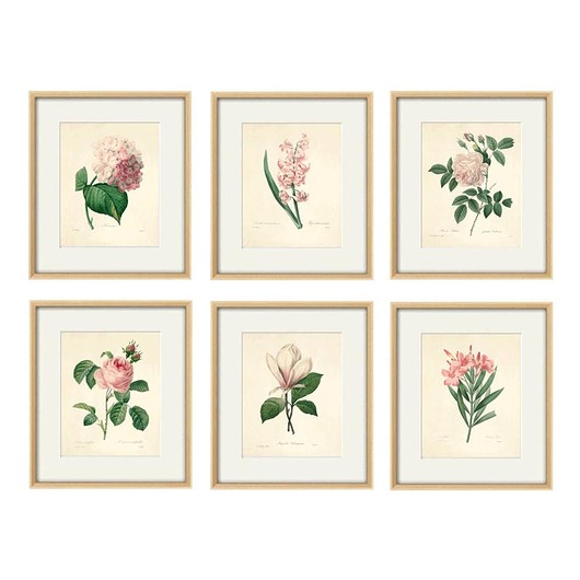 Rysunek kwiaty grafika peonie magnolia Victorian wall art
