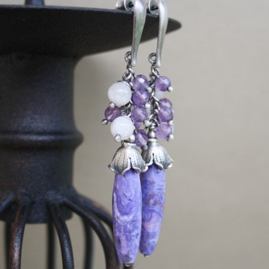 Campanula Amade Studio