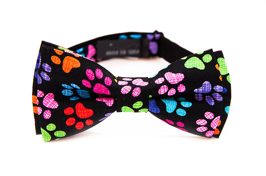 mucha 101 COLOUR DALMATIANS mięta showroom
