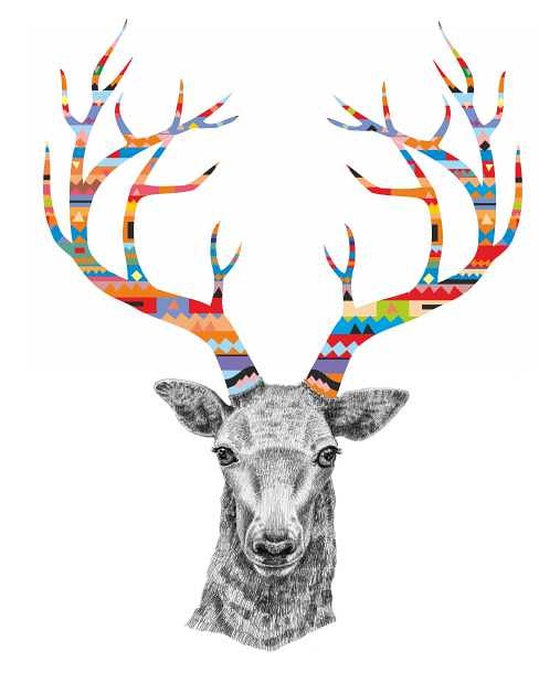 oh deer*   Tiri riri
