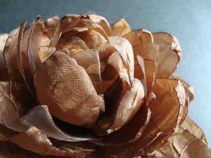 ORZECHOWA__ZAMÓWIENIE SundayRose