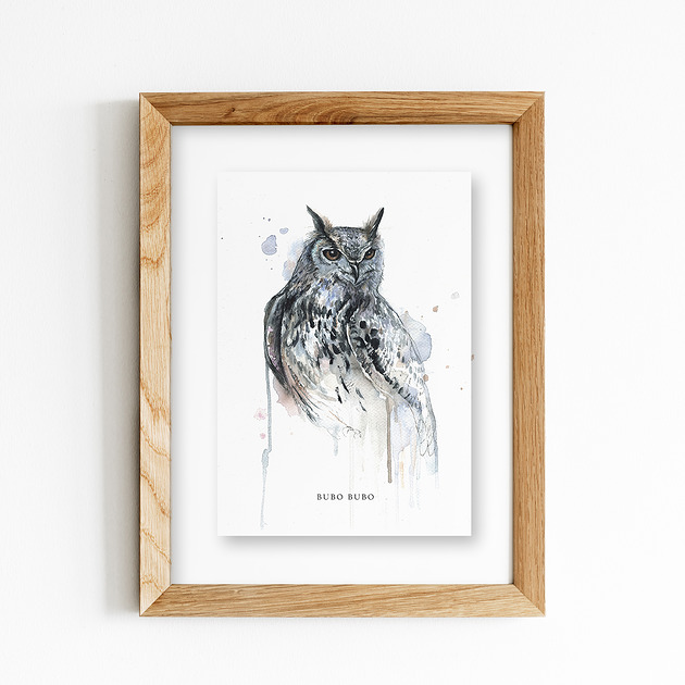 grafiki i ilustracje Puchacz, A4