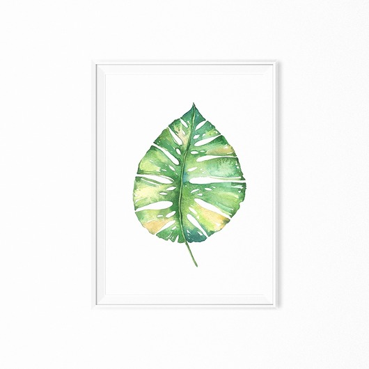 Plakat skandynawski botaniczny Monstera A4 myscandi