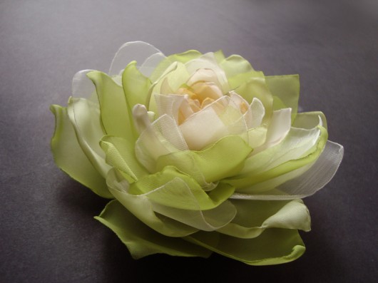 LIMONA SundayRose