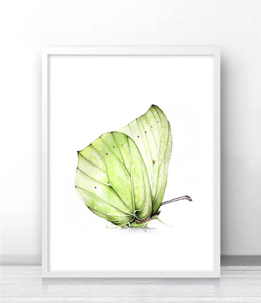Motyl latolistek cytrynek- plakat autorski Karolina Kijak