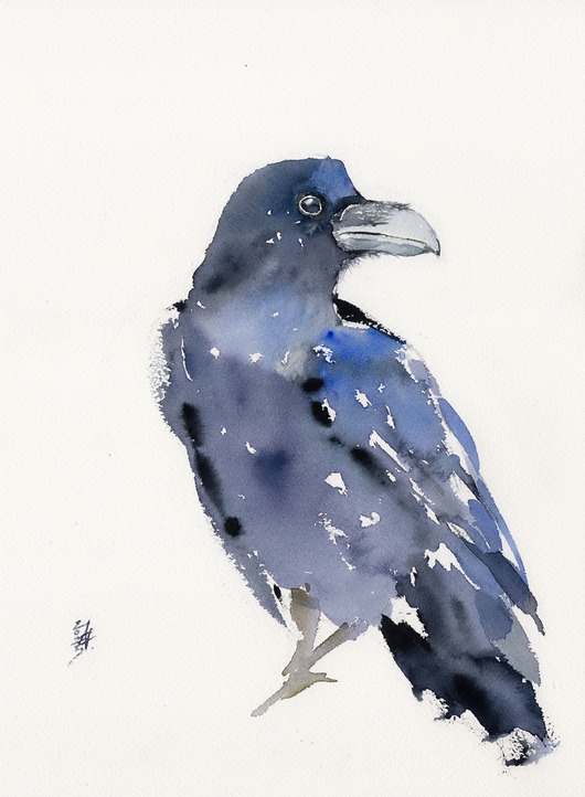 obrazy Oryginalna akwarela. Kruk