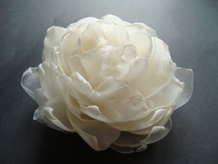 INNOCENT__ZAMÓ... SundayRose