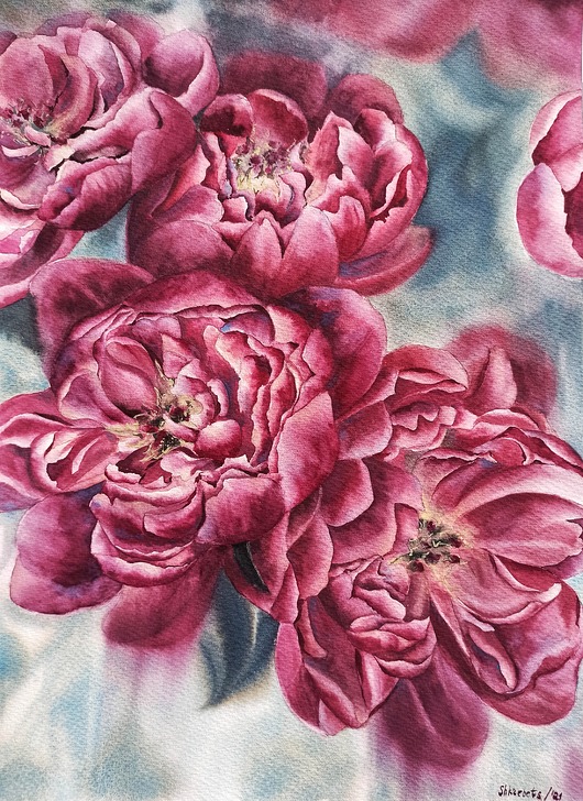 obrazy "Różowe piwonie" 36*51cm/ akwarela