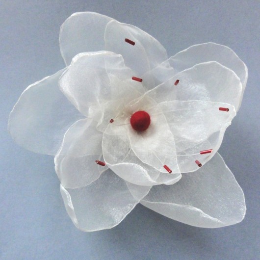 Magnolia Czarna Biedronka
