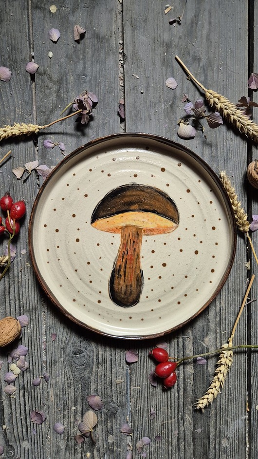 patery i talerze Talerz obiadowy ilustrowany, Borowik, Grzyb, Ilustracja Grzyba