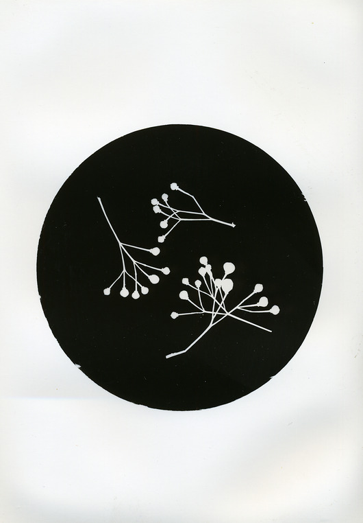 fotografia We Czworo