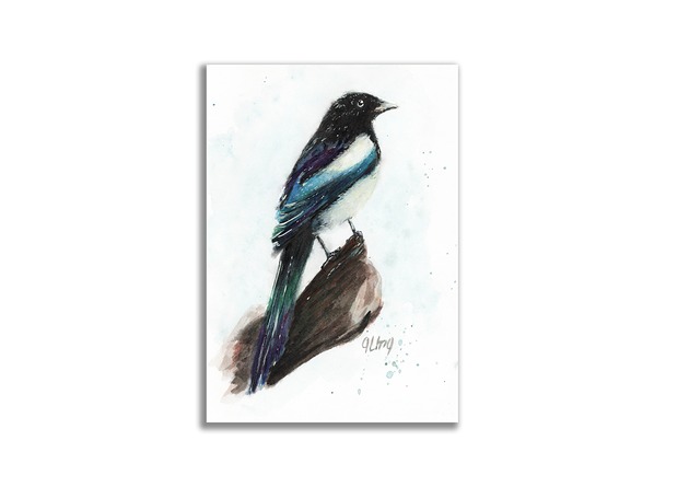grafiki i ilustracje Akwarela ręcznie malowana "Sroka"