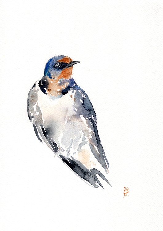 obrazy Oryginalna akwarela. Jaskółka