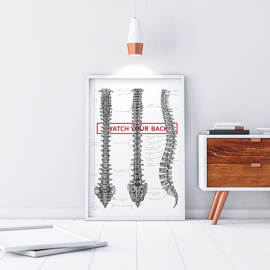 Plakat anatomiczny WATCH YOUR BACK Marta Pawelec Medical Art