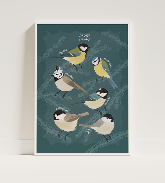 plakaty Plakat A3 Sikory