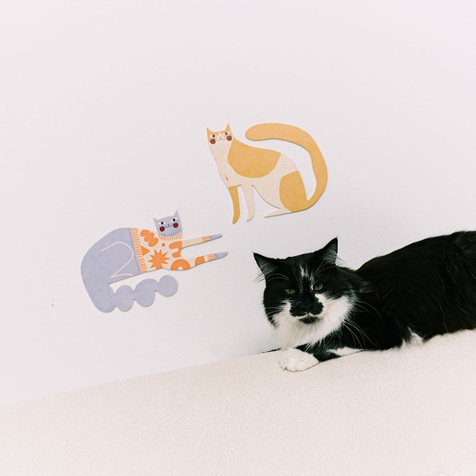 plakaty Plakat Rolls the cat - dekoracja ścienna