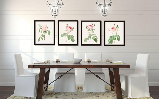grafiki i ilustracje PLAKATY  botaniczne kwiaty róże ilustracje