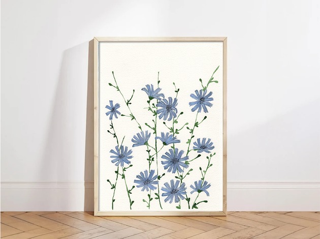 grafiki i ilustracje Cykoria I