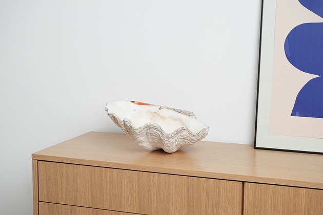 dodatki - różne Dekoracyjna muszla Tridacna, w stylu boho, lata 80