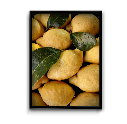 plakaty Plakat Cytryny