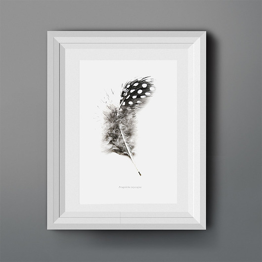 Przepiórka zwyczajna  - plakat A3 studio krafting