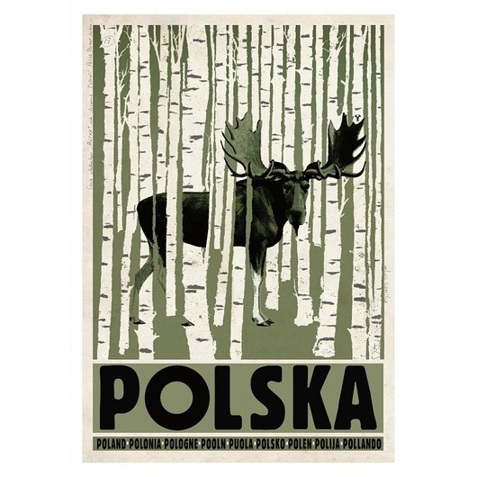 kartki okolicznościowe - wydruki Kartka pocztowa - Polska, Łoś