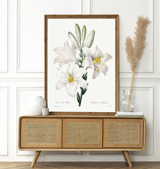 plakaty Plakat White flowers