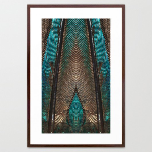 plakat 100x70 PEACOCK FEATHERS 3 ED design for fun