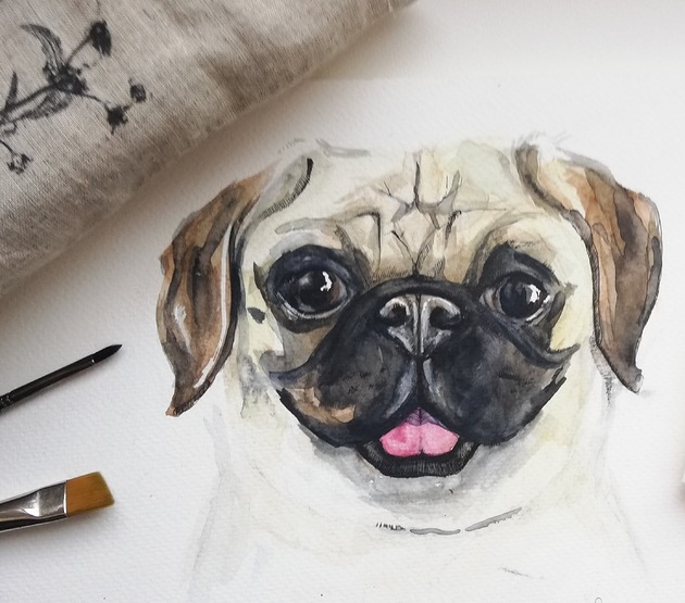 Mops uśmiechnięty DWUKROOPEK
