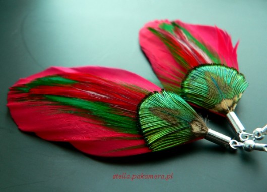 poziomki Stella