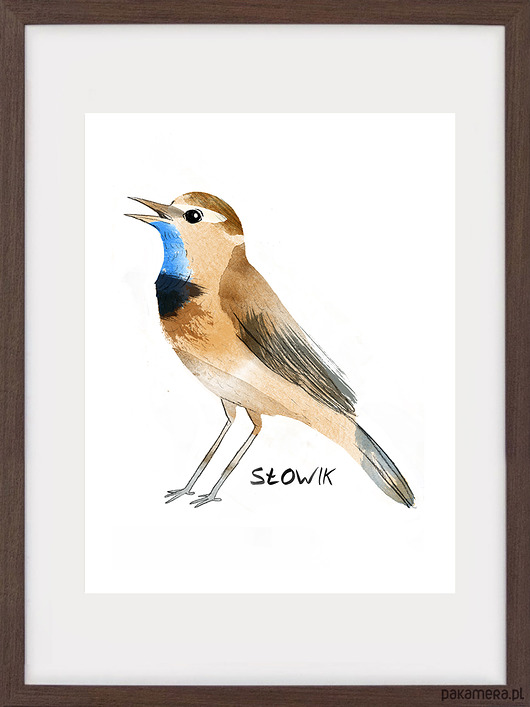 SŁOWIK,GRAFIKA 30X40 NIEMAPA