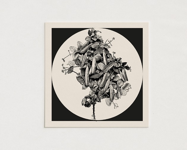 plakaty Flowers / Oryginalna grafika / poster print / Gicl