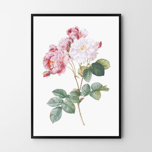 plakaty Plakat Róże 